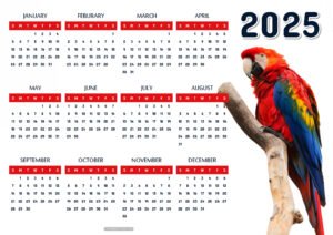 eCalen Colorful Parrot 2025 Calendar