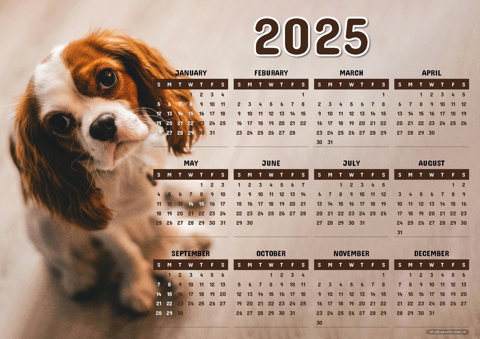 Puppy Paws and Days: 2025 Calendar