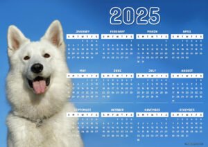 The 2025 White Companion Calendar