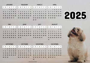 Dog Looking for Future 2025 Calendar